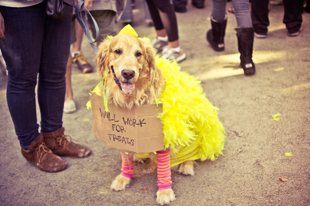 HOWL-O-WEEN | Silver Lake Realtor | Top Real Estate Agent Silver Lake CA