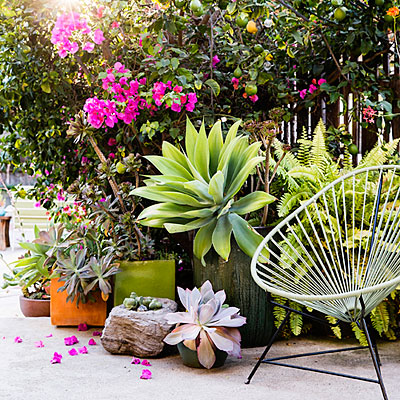 Best succulent garden in containers ideas | Los Feliz Homes For Sale | Los Feliz Real Estate Company