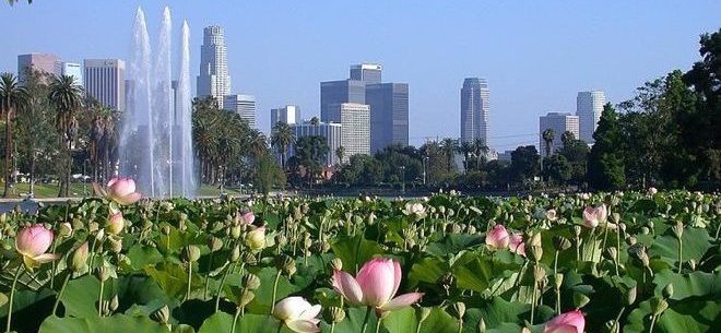 The Return of Echo Park's Lotus Festival