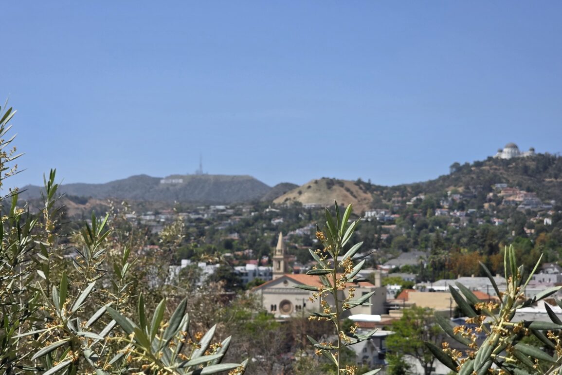 Silver Lake Summer Events, Art and Culture, Silver Lake Musical Performances, Silver Lake Community Gatherings, Silver Lake Camp Activities