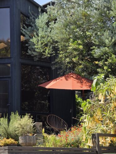 Backyard patio with an orange umbrella beside a dark wood gate in Silver Lake