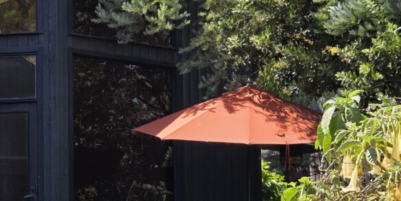 Backyard patio with an orange umbrella beside a dark wood gate in Silver Lake