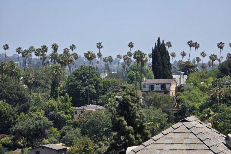 Silver Lake hillside with palm trees and homes tucked among greenery