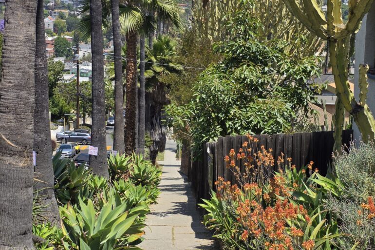 A neighborhood parkway outside a Spanish home with rich succulents and mature cacti