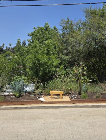 Neighborhood garden above Silver Lake Blvd