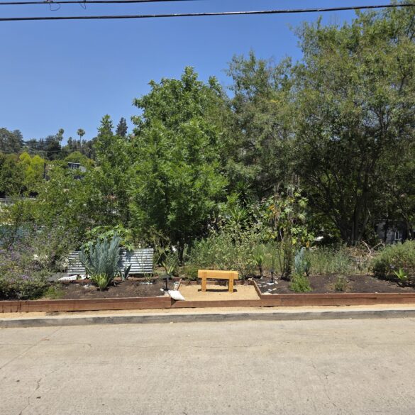 Neighborhood garden above Silver Lake Blvd