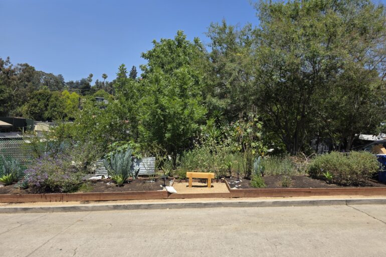 Neighborhood garden above Silver Lake Blvd