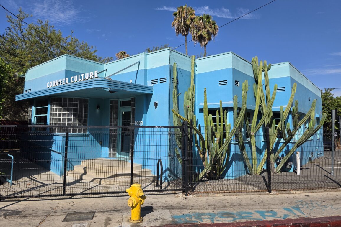 Beautiful Azure Counter Culture Coffee in Silver Lake