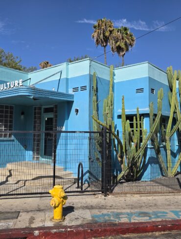 Beautiful Azure Counter Culture Coffee in Silver Lake