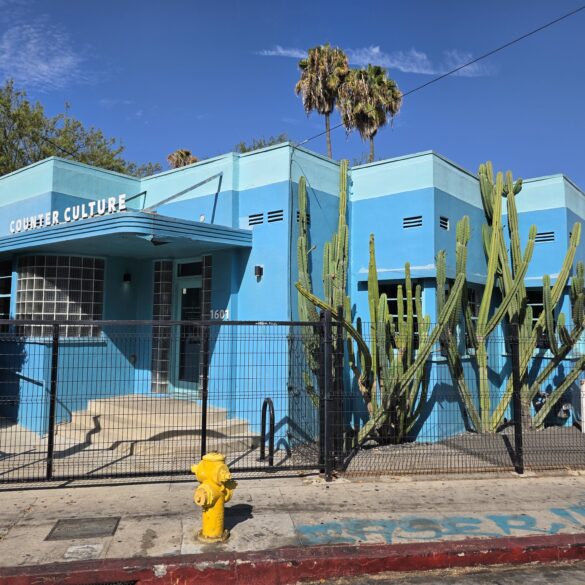 Beautiful Azure Counter Culture Coffee in Silver Lake