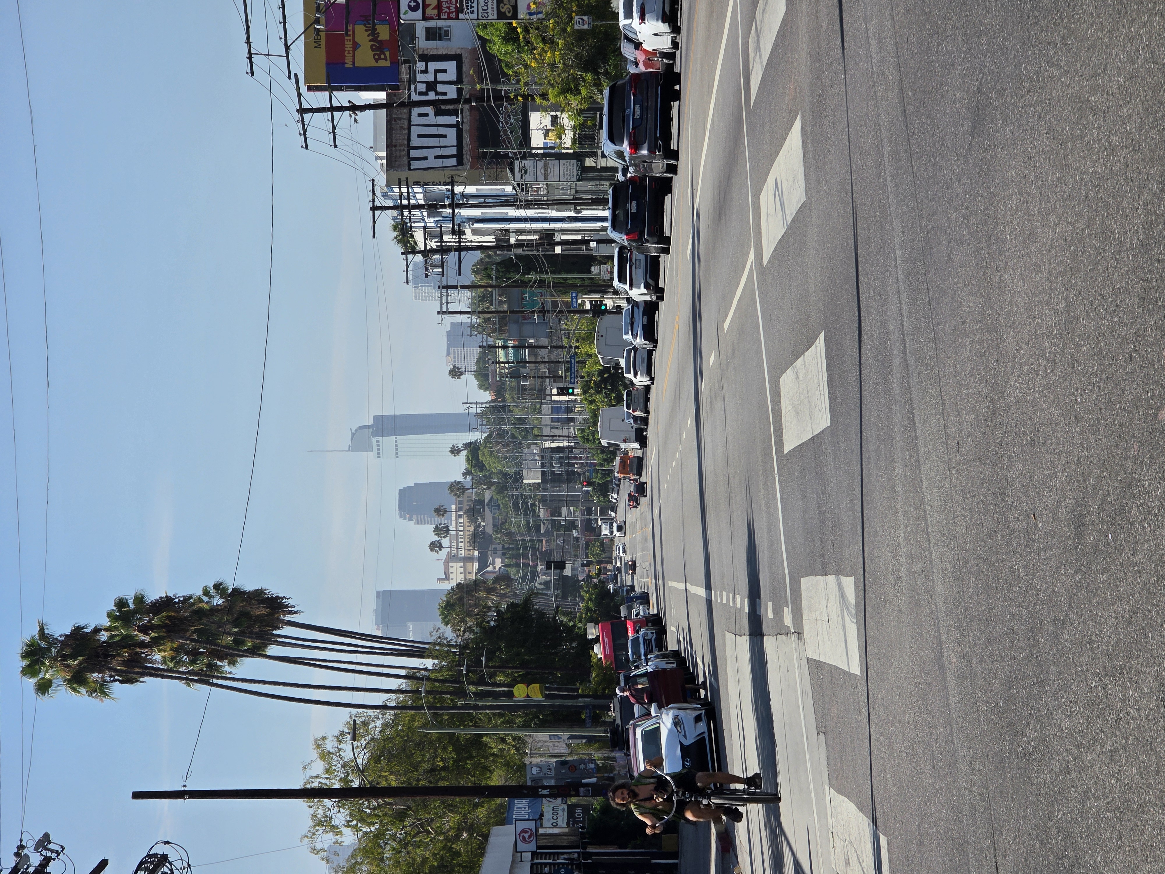 Long haired man with dog in his lap bicycling down Sunset Blvd in Silver Lake