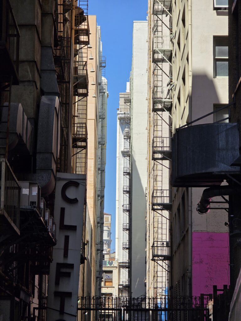 The backside of Downtown Los Angeles — a narrow canyon of fire escapes, ducts, brick and concrete, where more than a century of the city’s architecture is compressed into a sliver of California sky.