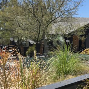 Outside a residence in Eagle Rock built in the Craftsman style during the Arts and Crafts period with stunning landscaping and paper lanterns in the front yard with 100 year old palm trees all around
