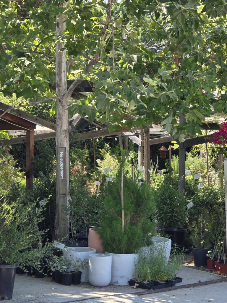 Outside the entrance of Plant Material nursery in Glassell Park