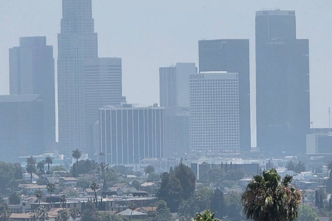 Downtown Los Angeles skyline seen from the hills above Silver Lake