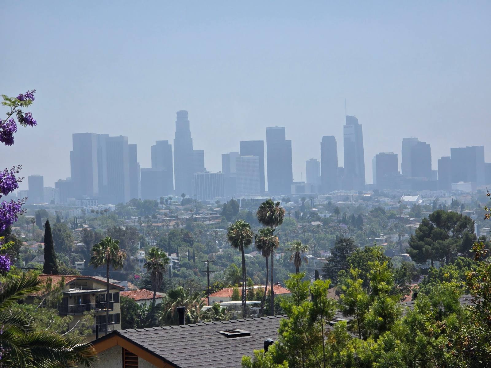 Downtown Los Angeles skyline framed by trees on a hazy afternoon