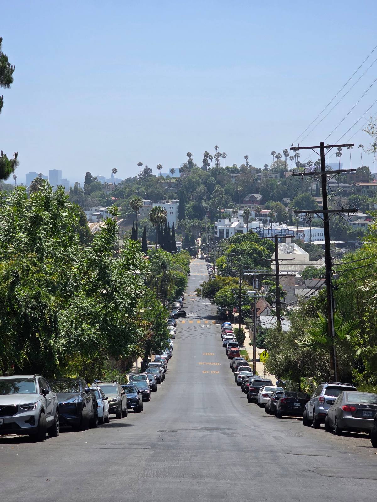 Tree lined residential street in Los Angeles