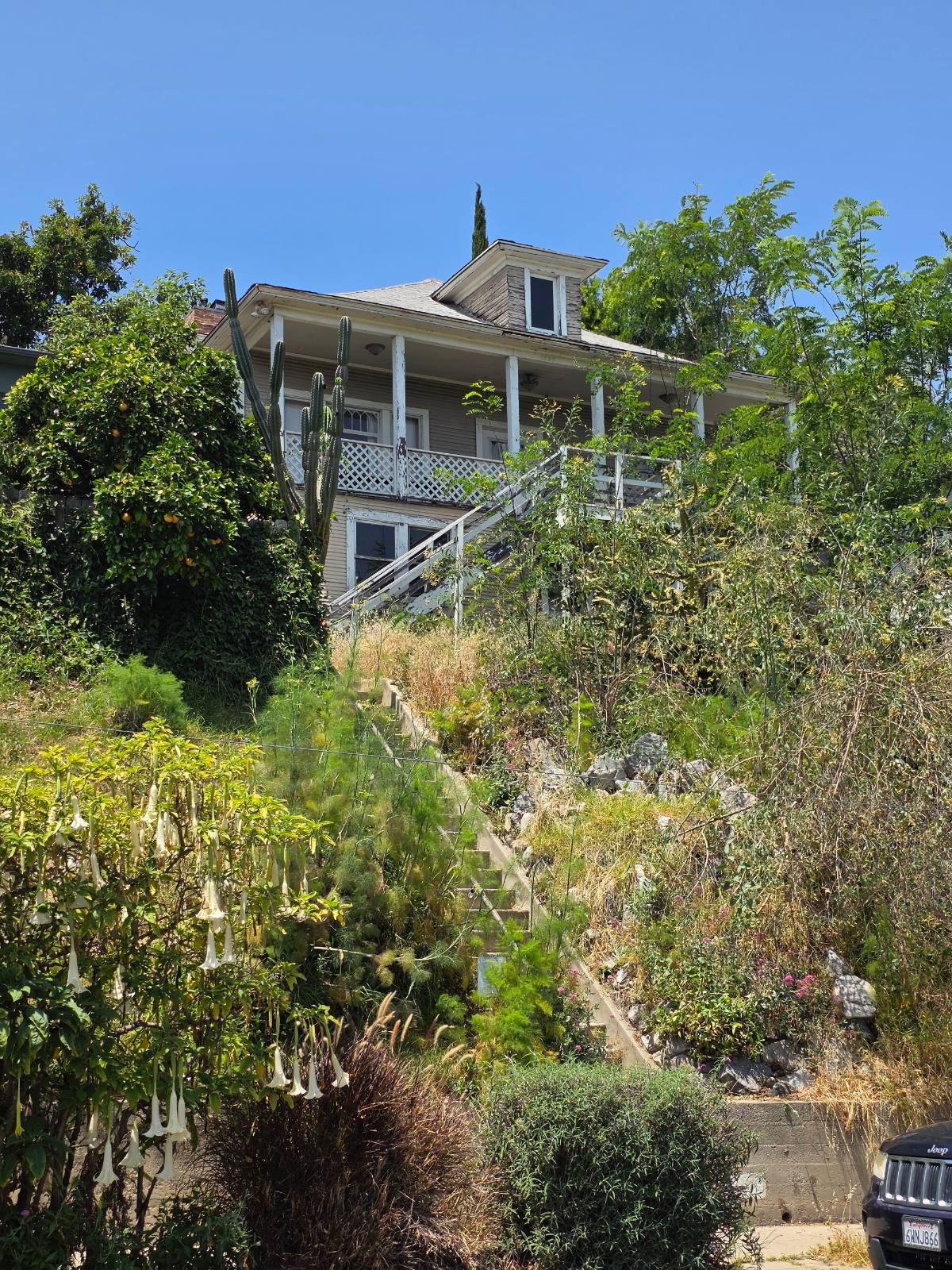 Hillside home in Silver Lake with a long front staircase and drought planting