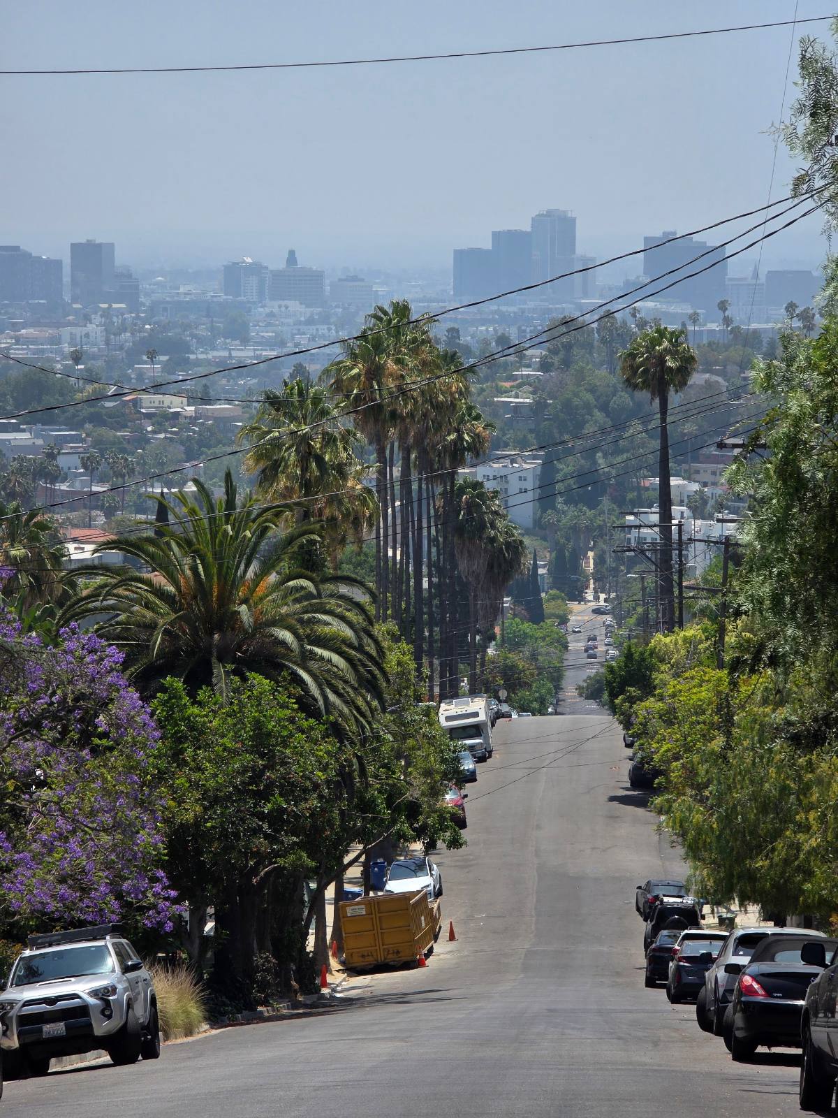 Palm lined hillside street in Silver Lake, Los Angeles