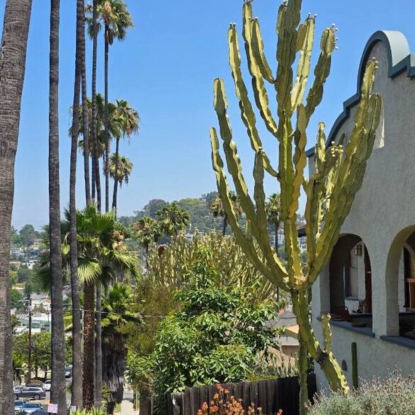 Spanish style home with palm trees on a Silver Lake hillside street, Los Angeles