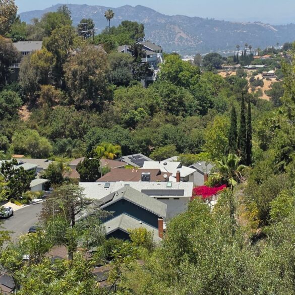Rooftops of hillside homes among dense trees in Mount Washington, Los Angeles, with hills on the horizon